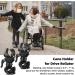2 Pack Walking Stick Holders CHUNZHILAI Crutches Stick Bracket Crutch Holders Cane Holder for Drive Rollator Walker Wheelchair (Black-Upgraded Version) - Buy Online on GoSupps.com