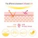 Elizavecca Milky Piggy Sun Great Block Stick SPF 50+ PA+++ - Sun Protection Stick 0.78 oz - Buy Online on GoSupps.com