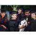 Pet Graduation Caps with Yellow Tassel - Small Dog & Cat Holiday Costume Accessory - Buy Online on GoSupps.com