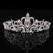Halloween Silver Rhinestone Crown for Women - Perfect for Weddings, Birthdays, Parties - Princess Queen Tiara with Combs - 1 Pack - Buy Online on GoSupps.com