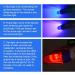 Teeth Whitening LED Light with Remote Control - Blue/Red/Purple - US Warehouse - Buy Online on GoSupps.com