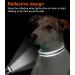 Joytale Reflective Dog Collar for Small Dogs - Grey Size S (Pack of 1) | Best International Shipping - Buy Online on GoSupps.com
