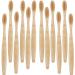 TEAMWILL 20pack Bamboo Toothbrush 100% Natural Organic Medium BPA Free Soft Healthy Brush