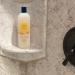 B a Vida Deodorizing Citrus + Elder Shampoo & Body Wash Soap - 16 oz - Made with Persimmon to Eliminate Nonenal & Old Person Smell Naturally - Buy Online on GoSupps.com