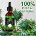 Jamaican Black Castor Oil Pure Cold Pressed Castor Oil for Eyebrows Eyelashes Hair Growth Nails and Skin with 1 Set of Eyebrow & Eyeliner Brushes 60ml - Buy Online on GoSupps.com