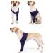 Dog Elbow Brace Dog Elbow Protector Highly Elastic Breathable Canine Protector Pads Knee Brace Dog Leg Braces Carpal Support Elbow Protector for Wound Wrapping (M) - Buy Online on GoSupps.com
