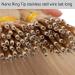 20" Nano Ring Tip Hair Extensions Real Human Hair 50Strands #60 Platinum Blonde (50g) - Buy Online on GoSupps.com
