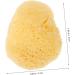 MERRYHAPY Natural Sponge Greece Sponges for Facials Facial Sponges Cleansing Sponges for Face Facial Cleansing Sponge Face Scrubber Face Sponge for Washing Face Facial Supplies Professional - Buy Online on GoSupps.com
