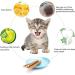 tiopeia 30 PCS Cat Catnip Sticks Natural Matatabi Chew Sticks as Dental Treat Teeth Grinding Chew Toys for Cat Kitten Kitty - Buy Online on GoSupps.com