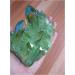 Light Green Aura Quartz Crystal Titanium Bismuth Silicon Cluster Rainbows Natural Stones and Minerals yuebang Reiki Crystal Stone - Buy Online on GoSupps.com