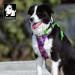 Winhyepet True Love No-Pull Dog Harness | Adjustable Outdoor Vest for Small & Medium Dogs | Reflective Nylon Amoufs Blue Camouflage (TLH5653) - Buy Online on GoSupps.com