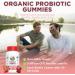 MaryRuth Organics Probiotic Gummies - USDA Organic Digestive & Gut Health Supplement for Adults - Immune Support - Vegan & Non-GMO - 60 Count - Buy Online on GoSupps.com