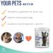 PET CARE Sciences Approx 90 Servings Cat Kidney Support Chews Feline Kidney Restore Renal Cat Treats Cats Kidney Support Supplement Urinary Tract Irritations Control for Cat - 3 Oz - Buy Online on GoSupps.com