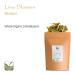 Linden Blossom Organic Tea - Tilia Flower Tea 100g | Buy Premium Organic Linden Tea Online - Buy Online on GoSupps.com