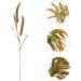 Zerodeko 2pcs Simulated Ears of Corn Dried Wheat Decor Vegetable Plants Dried Wheat Stalks for Decorations Thanksgiving Bouquets Home Decor Fake Grass Decor House Artificial Pu Ornaments Greenx2pcs 12X75CMx2pcs - Buy Online on GoSupps.com