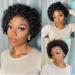 Short Curly Lace Front Pixie Cut Wig for Black Women - 150% Density Human Hair - HD Glueless Pre Plucked 13x1 Lace Front Wig - Natural Black - Buy Online on GoSupps.com