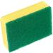 Scouring Pad Sponge Multi Functional Convenient Scrub Sponges High Density Effective for - Buy Online on GoSupps.com