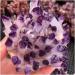 Hot Day Crystal Cluster Purple Crystal Processing from Home Collections - Buy Online on GoSupps.com