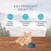 Blue Buffalo Wilderness High Protein Grain Free Natural Adult Indoor Hairball Control Dry Cat Food Chicken 2.2kg bag kibble Medium Bag Small Bag Hairball Control - Buy Online on GoSupps.com