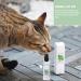 Buy ZOUBAOQ Herbal Joy Spray for Pets - Celery & Matatabi Catnip Spray | 20ml - Boost Your Pet's Happiness - Buy Online on GoSupps.com
