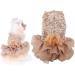 Sequin Silky Tutu Dog Dress Princess Costume - L Gold - Buy Online on GoSupps.com