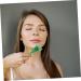 Beavorty 8 STK Hair Comb Massager & Beeswax Bars - Scalp Massage Hair Growth & Walking Aid Tool - Buy Online on GoSupps.com