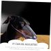 Yardwe 3pcs Cat Muzzle Dog Muzzles Cat Air Muzzle Dog Mouth Masks Cat Mouth Muzzle Cat Mouth Mask Pp - Buy Online on GoSupps.com
