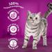 Buy Whiskas Adult 1+ Dry Food with Lamb - 5x800g Packs | Premium Cat Food for Adult Cats - International Shipping Available - Buy Online on GoSupps.com