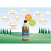 6x Delamere Dairy Flavoured Milk in Glass 240ml Bottles - Iced Coffee Iced Coffee 40 ml (Pack of 6) - Buy Online on GoSupps.com