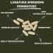 Lunatura High-Dose Spermidine - Vegan & Gluten-Free Wheat Germ Extract with Q10 | 60 Capsules | 2-Month Supply - Shop Internationally - Buy Online on GoSupps.com