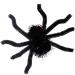 Halloween Hair Clips Halloween Spider Shape Hairpins | Spider Barrettes Halloween Hair Accessories for Family Friends Women Black - Buy Online on GoSupps.com
