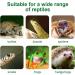 Zjrung 50W Turtle Heat Lamp - Rotatable UVA/UVB Reptile Terrarium Light with Clip & Temperature Tester for Turtles Lizards Snakes & Spiders - Buy Online on GoSupps.com