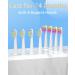 SEAGO Electric Toothbrush for Adults | Ultrasonic Toothbrush with 8 Brush Heads | Rechargeable Electronic Toothbrush - White - Buy Online on GoSupps.com