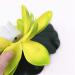 Yeehliny Floating Lotus Lights - 2pcs Green LED Solar Water Lily for Pool & Garden Decoration - Buy Online on GoSupps.com