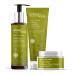 Urban Veda Daily Purifying Cleansing Essentials | Purifying Facial Wash Purifying Exfoliating Polish Purifying Day Cream | Oil & Acne Control | Vegan & Cruelty Free | For Oily & Congested Skin