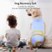 Kuoser Light Blue Dog Recovery Suit | Anti-Lick & Leakage Protection | XS for Male & Female Dogs After Surgery - Buy Online on GoSupps.com
