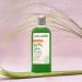 Hair Fall Control Shampoo - 100% Vegan Aloe Vera Infused Eco-Friendly & Cruelty-Free | No Parabens or Silicones - 12 fl oz - Buy Online on GoSupps.com