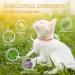 Cat Repellent Treatment Adjustable Cat Repellent Collars Natural Protection Repellent Collar for Cats Water Resistant Repellent Collar for Cats Small-Medium-Large Orange 1pack - Buy Online on GoSupps.com