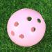 6pcs Abaodam Pink Plastic Golf Training Balls for Swing & Putting Practice - Buy Online on GoSupps.com