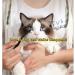 Luoyuanjia Pro Powder Applicator Brush for Dogs And Cats 4 Pcs Tear Stain Remover Brush Washable Superfine Fiber Long Tapered Bristles for Safely Apply Tear Stain Powder - Buy Online on GoSupps.com