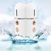 Vaporisateur Nanom trique Hydratant Visage Appareil Beaut Portable Blanc Pulv risateur Facial Compact Brume Fine pour Soins Quotidiens et Voyage R servoir Longue Dur e - Buy Online on GoSupps.com