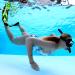 SIER Soft Silicone Full-Foot Swim Fins | Efficient Thrust | Tight Fitting | Yellow | EUR 39-40 US Men 6-7 Women 7-8 - Buy Online on GoSupps.com
