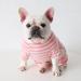 BT BEAR Dog Clothing - Colorful Striped Pajamas for Bulldogs & Puppies - Soft Cotton One-Piece Costume (XL Pink) | Perfect for Small & Medium Dogs - Buy Online on GoSupps.com