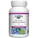 Natural Factors Super Strength Blueberry Concentrate (Blueberry Extract) 500mg High Dose 90 Softgels Lab-Tested Soy Free Gluten Free Non-GMO