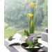 Eggone Japanese Ikebana Kit with Kenzan Needle - 1.57inch Black Flower Frog in 6.7inch Bowl Vase - Buy Online on GoSupps.com