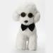 Adjustable Pet Bow Tie & Cute Sunglasses Set for Cats and Dogs - Black White - Buy Online on GoSupps.com