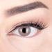 Very covering and natural gray contact lenses Silicone Comfort Novelry "Gray Gray" + container of Glamlens - 1 pair (2 pieces) - Dia 2.30 - Without strength 0.00 Dioptries