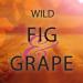 Di Palomo - Wild Fig & Grape - Hand & Nail Cream - 75ml Sandalwood - Buy Online on GoSupps.com