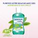  Sanogyl SANOGYL Antibacterial Mouthwash 500 ml Pack of 4 - Buy Online on GoSupps.com