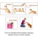 Diyife Dog Training Clicker Set - 3 Large Button Clickers for Dogs Cats & Horses - Ideal for Effective Pet Training - Buy Online on GoSupps.com